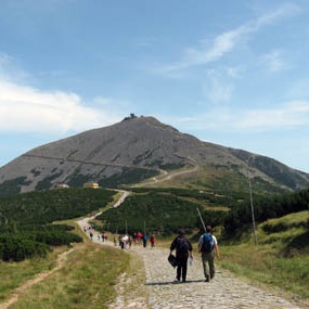 Pozdrowienia na szlaku
