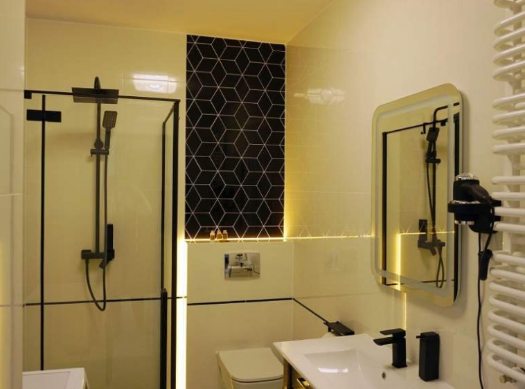 Apartament Handwit